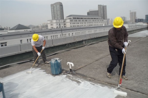 屋顶防水补漏用什么材料好