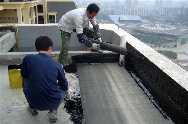 QQ截图20201023100436.jpg