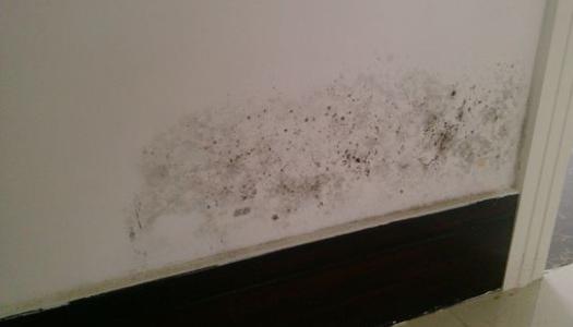 地下室防霉的三大实用技巧(图3)