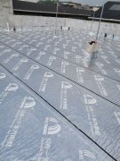 广州市防水补漏公司哪家较专业？
